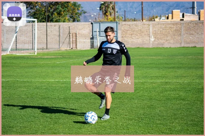 鹈鹕荣誉之战