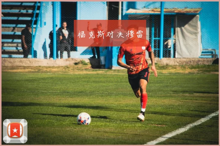 福克斯对决穆雷