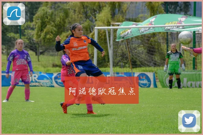 阿诺德欧冠焦点