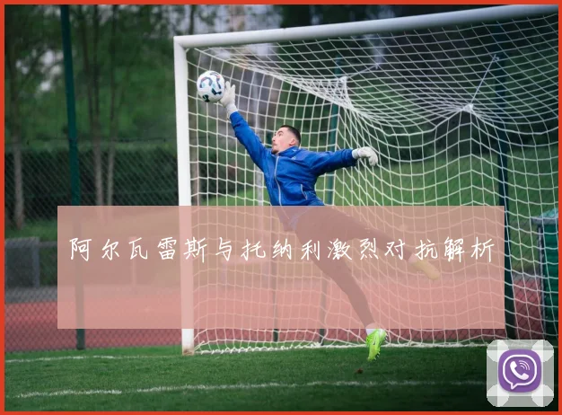 阿尔瓦雷斯与托纳利激烈对抗解析