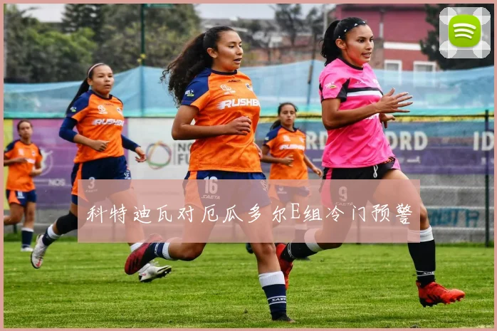 科特迪瓦对厄瓜多尔E组冷门预警