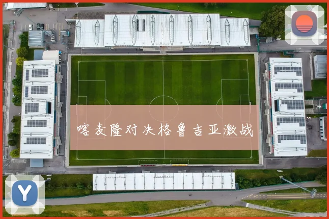 喀麦隆对决格鲁吉亚激战