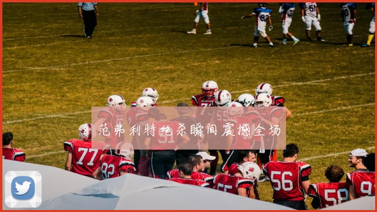 范弗利特绝杀瞬间震撼全场