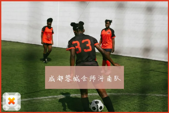 成都蓉城会师河南队