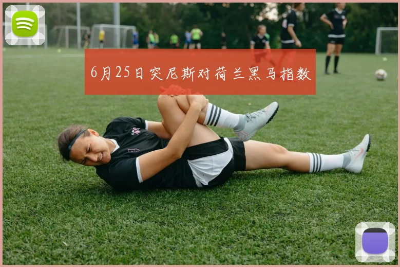 6月25日突尼斯对荷兰黑马指数