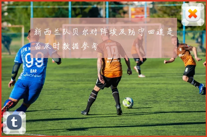 新西兰队贝尔对阵埃及防守回追是否及时数据参考