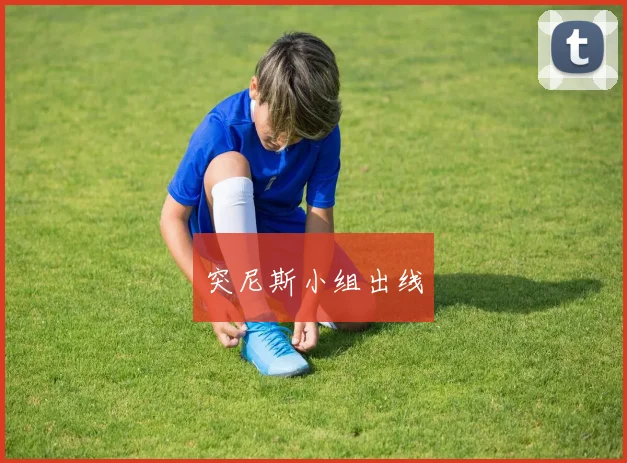 突尼斯小组出线