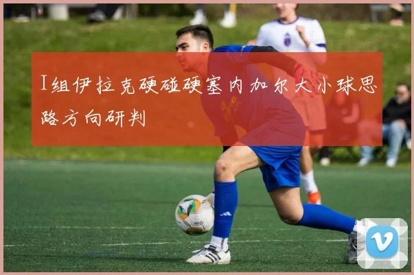 I组伊拉克硬碰硬塞内加尔大小球思路方向研判