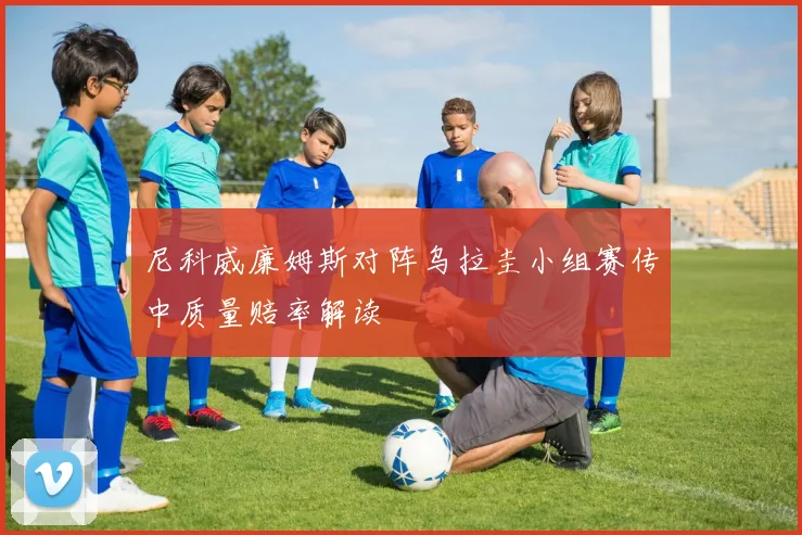 尼科威廉姆斯对阵乌拉圭小组赛传中质量赔率解读