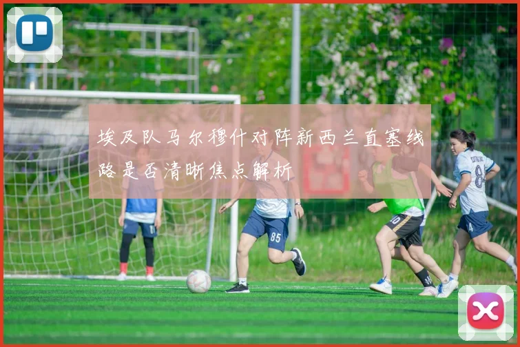 埃及队马尔穆什对阵新西兰直塞线路是否清晰焦点解析
