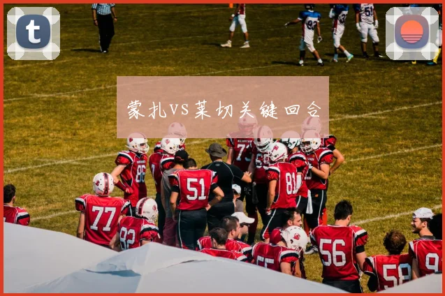 蒙扎vs莱切关键回合