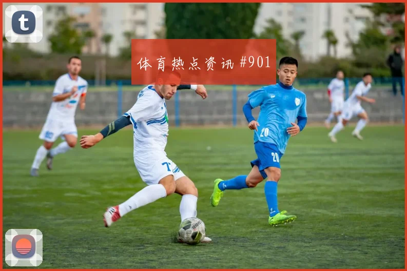 2026世界杯加拿大vs波黑前压风险