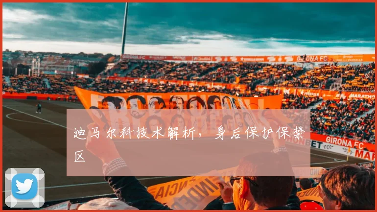 迪马尔科技术解析，身后保护保禁区